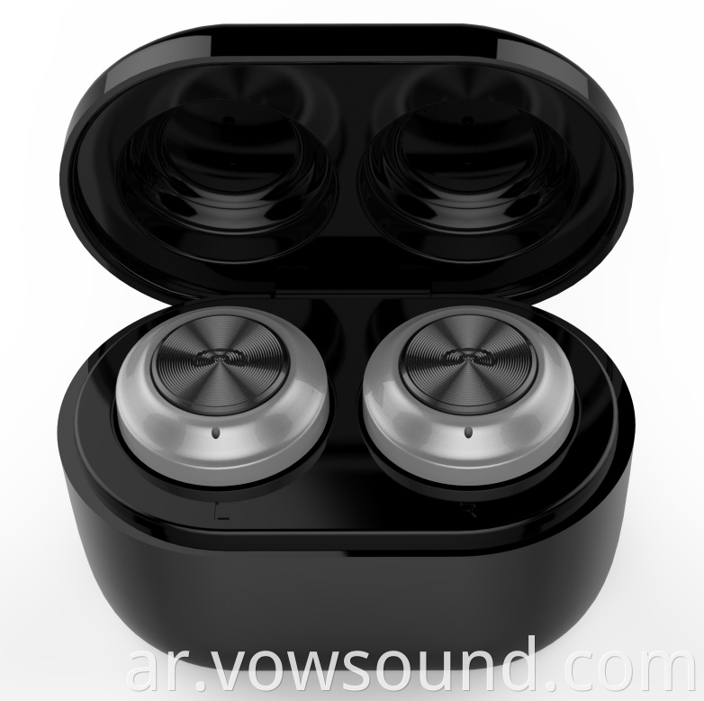 TWS Bluetooth Earbuds